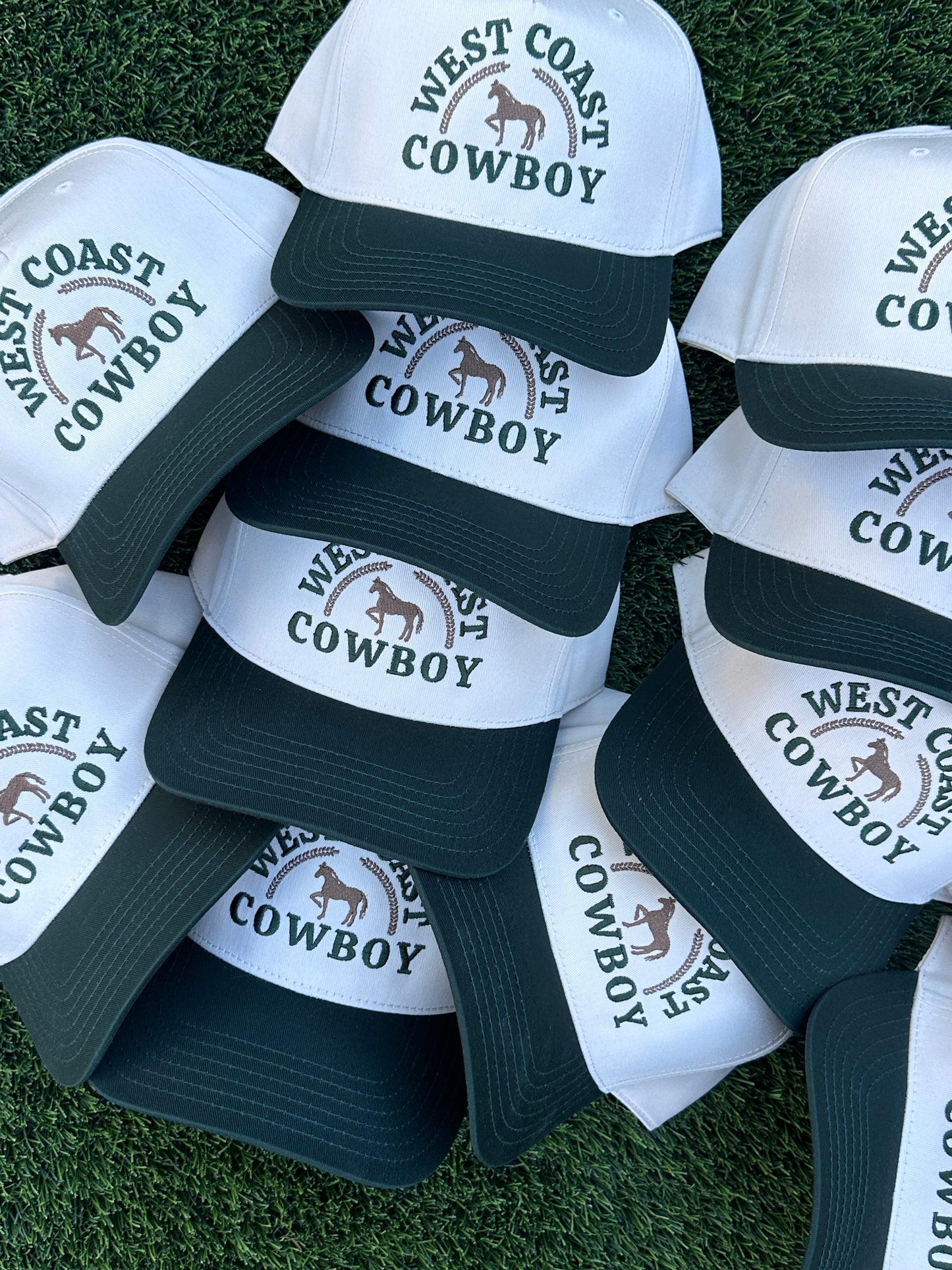 Electric Rodeo: West Coast Cowboy