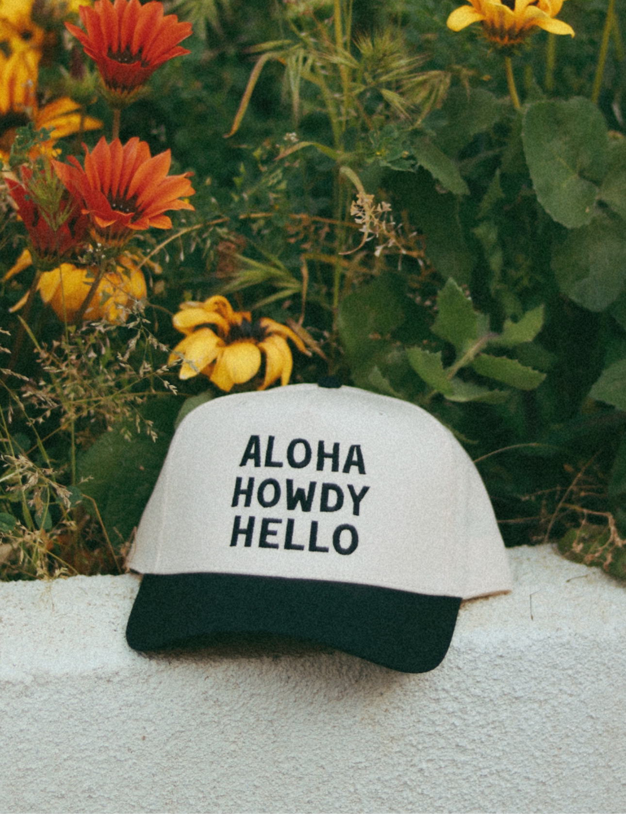Aloha Howdy Hello