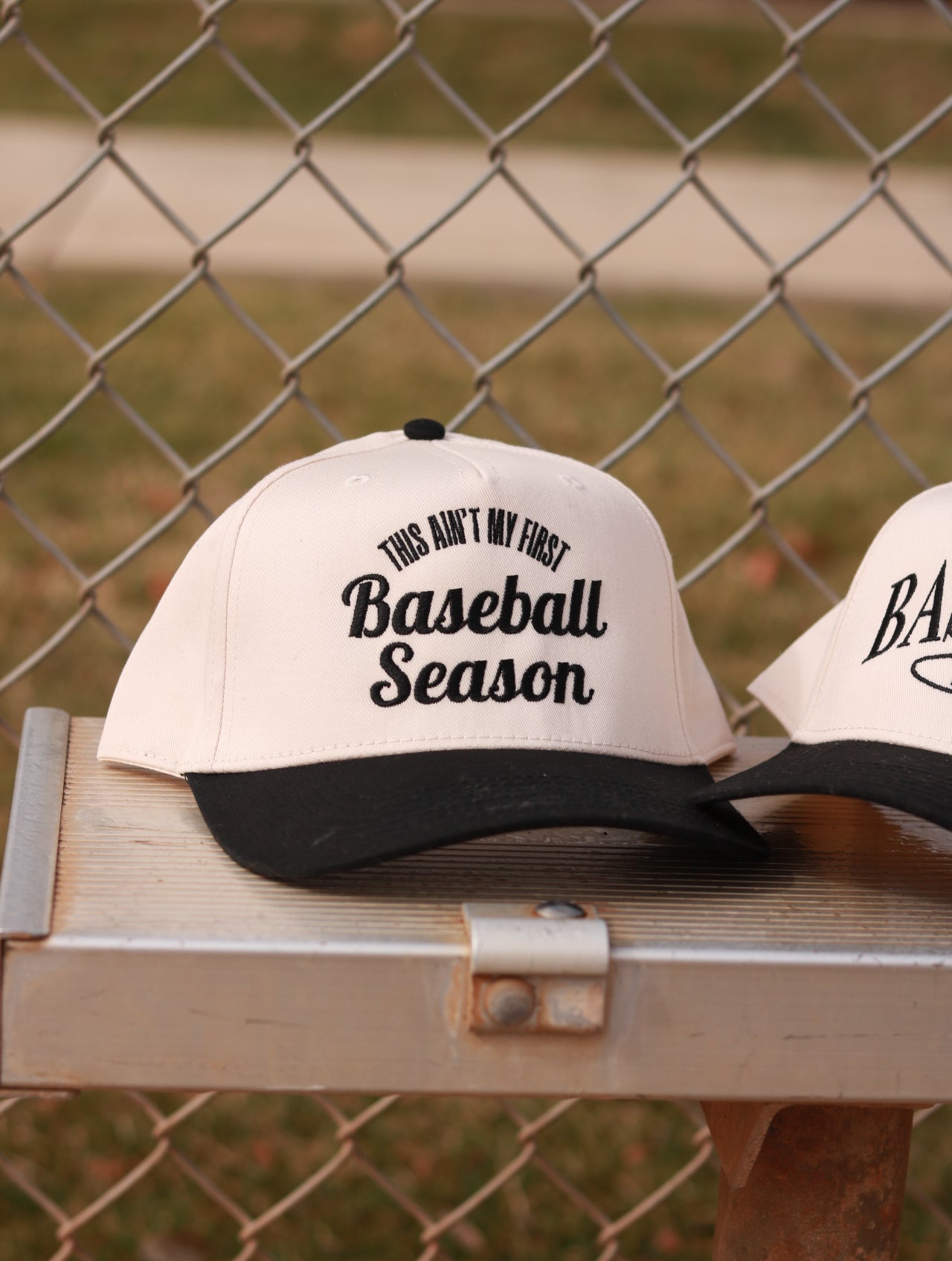 Ain’t My First Baseball Seaon