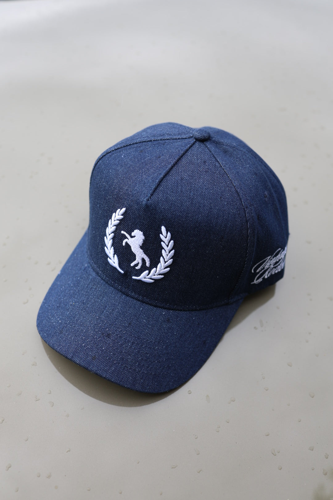 Denim Vintage Rodeo hat